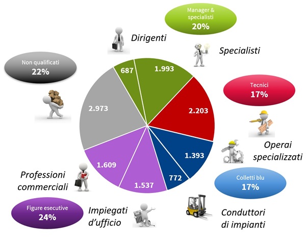 imm2 - distribuzione annunci