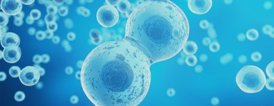 La filiera Life Sciences in Lombardia vale 25,5 miliardi di valore aggiunto e, con l'indotto, pesa il 12,8% sul PIL regionale