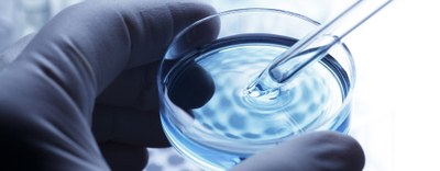 Bio-based Industries Joint Undertaking: nuove call 2020