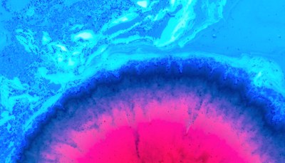 Bando della ricerca finalizzata 2019: fondi per 100 milioni di euro