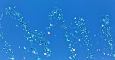 Bio Based Industries: pubblicato il nuovo bando 2019