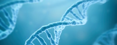 Meet in Italy for Life Sciences: Startup Breeding 2023