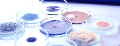 Tre nuovi bandi per progetti di ricerca in tema vaccini