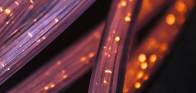 Webinars on IHI's first calls for proposals