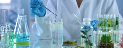 Gara Nazionale di Chimica all'ITT e Liceo Scientifico Ettore Molinari 