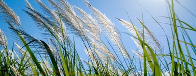 IPCEI - M4C2, Investimento 2.1 ed M2C2 Investimento 5.2. Pubblicato il decreto con le prime modalità di accesso agli incentivi