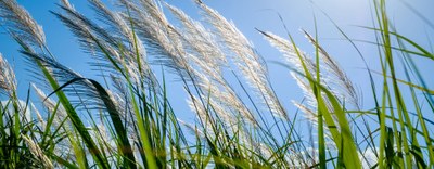 Ricerca e sviluppo sull'idrogeno: primi orientamenti sui bandi PNRR