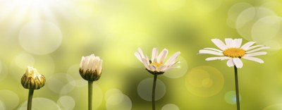 Autorizzazione Integrata Ambientale (AIA) - Autocontrolli - Compilazione on-line dell'applicativo AIDA - Scadenza 31 luglio