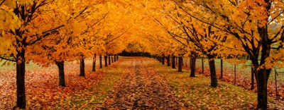 Autorizzazione Integrata Ambientale - Emanato dal Ministero dell'Ambiente il nuovo Regolamento per la predisposizione della relazione di riferimento