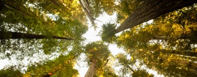 ECOMONDO - Presentazione delle Linee Guida SGA e 231, incontro del 9 novembre