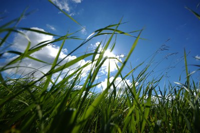 Emissioni in atmosfera - Impianti di produzione energia: nuovi criteri regionali di installazione ed esercizio