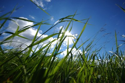 F-GAS: Pubblicato il nuovo decreto