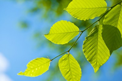 Gli esperti di Assolombarda per l'ambiente - Aprile 2015