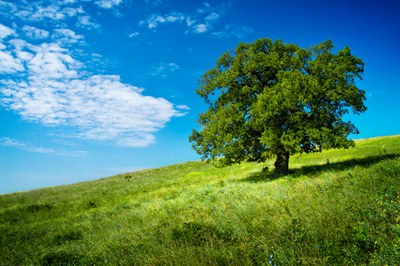 IPPC - Il nuovo tariffario regionale in materia di Autorizzazione Integrata Ambientale - Delibera della Regione Lombardia