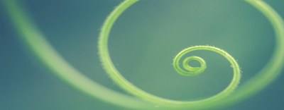 Rifiuti - Autorità di Regolazione per Energia Reti e Ambiente