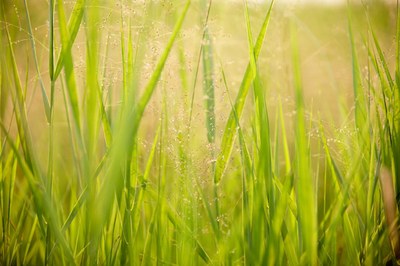 Rifiuti - Rettificato l'elenco dei codici rifiuti