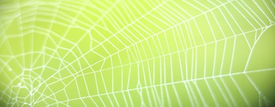 Valutazione d'Impatto Ambientale - Utilizzo esclusivo del Sistema Informativo Lombardo