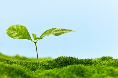 Novità: volture e modifiche non sostanziali AUA