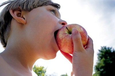 CCNL Industria alimentare - Ripresa Trattative di rinnovo del CCNL