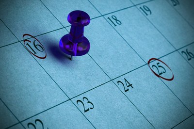 Stella al Merito del Lavoro 2015: scadenza termine di presentazione