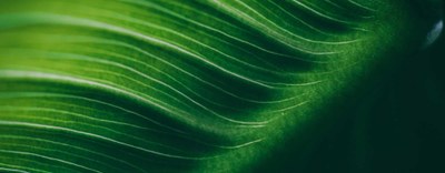 Decreto “salva conti” - Modifiche al credito d’imposta Transizione 5.0