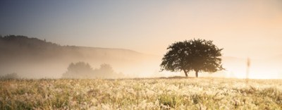 Legge di conversione Decreto Sostegni ter - Credito d’imposta beni strumentali
