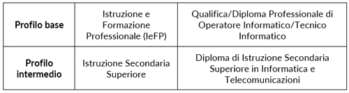 Specialista della sicurezza ICT  2