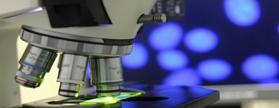 Fondo italiano per le scienze applicate: definiti criteri e modalità per l’assegnazione delle risorse