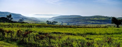 FIERA ACITF 2019. Addis Abeba 21 - 27 febbraio 2019.