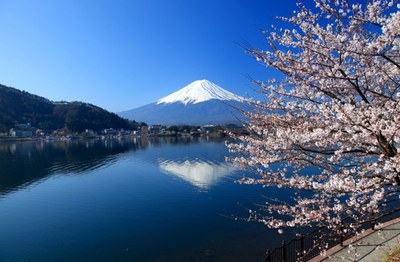 GIAPPONE: Missione Imprenditoriale dedicata alle PMI dei settori Agroalimentare e Moda (Tokyo e Osaka, 10-14 novembre 2019) 