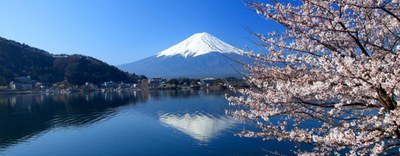 Sei interessato al Giappone? Ecco gli appuntamenti webinar di marzo 2021