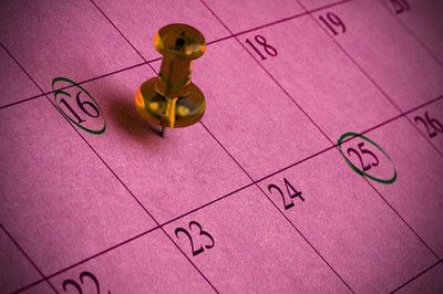 Scadenzario Lavoro e Previdenza - Novembre 2023