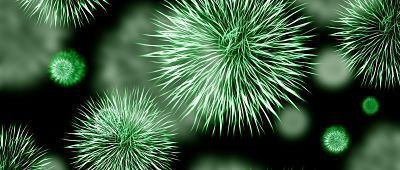 COVID-19 - Check list delle ASL della Liguria per l'adozione dei protocolli anti contagio