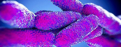 Focus su salute e sicurezza sul lavoro nel DPCM 10 aprile 2020