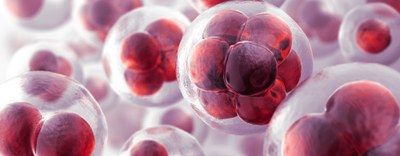 Nuovi aggiornamenti Coronavirus - Ats Brianza informa i medici competenti e le aziende