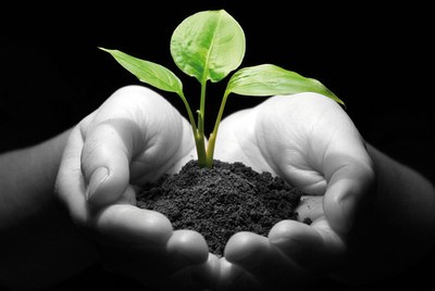 Promozione della salute nei luoghi di lavoro