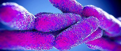 Questionario della ATS di Milano sul rispetto del protocollo anti COVID-19