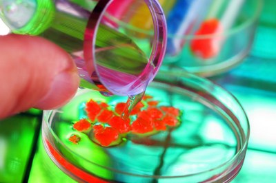 Reach e Clp e sicurezza delle sostanze chimiche - Modifiche al D.Lgs. n. 81/2008