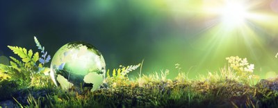 BorsinoRifiuti.com: come trasformare i rifiuti da costo a risorsa