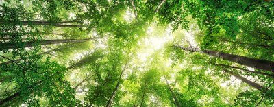 Nantoo. Puliamo la Terra, a partire dai nostri giardini