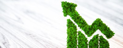 Northern Light Composites: innovazione sostenibile nel mondo dei materiali