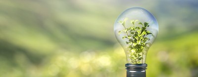 Terra Next: al via il programma di accelerazione per startup nel settore della bioeconomia