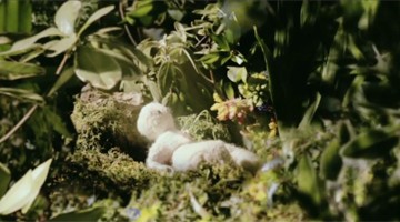 Regista d'Impresa 2014-2015 - Vincitore: Sorin di Lucia Bulgheroni 